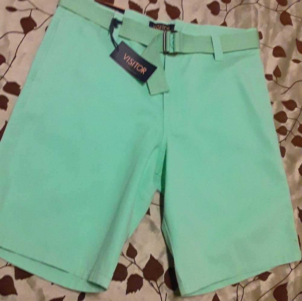 Visitor Mint Green Shorts Size: 34
